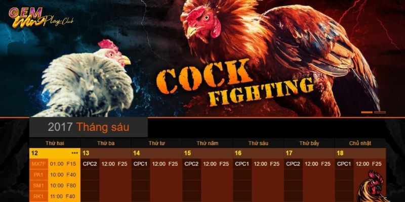 Xem đá gà Casino tại nền tảng Gemwin